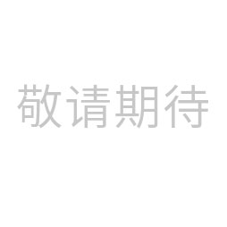 咨询顾问